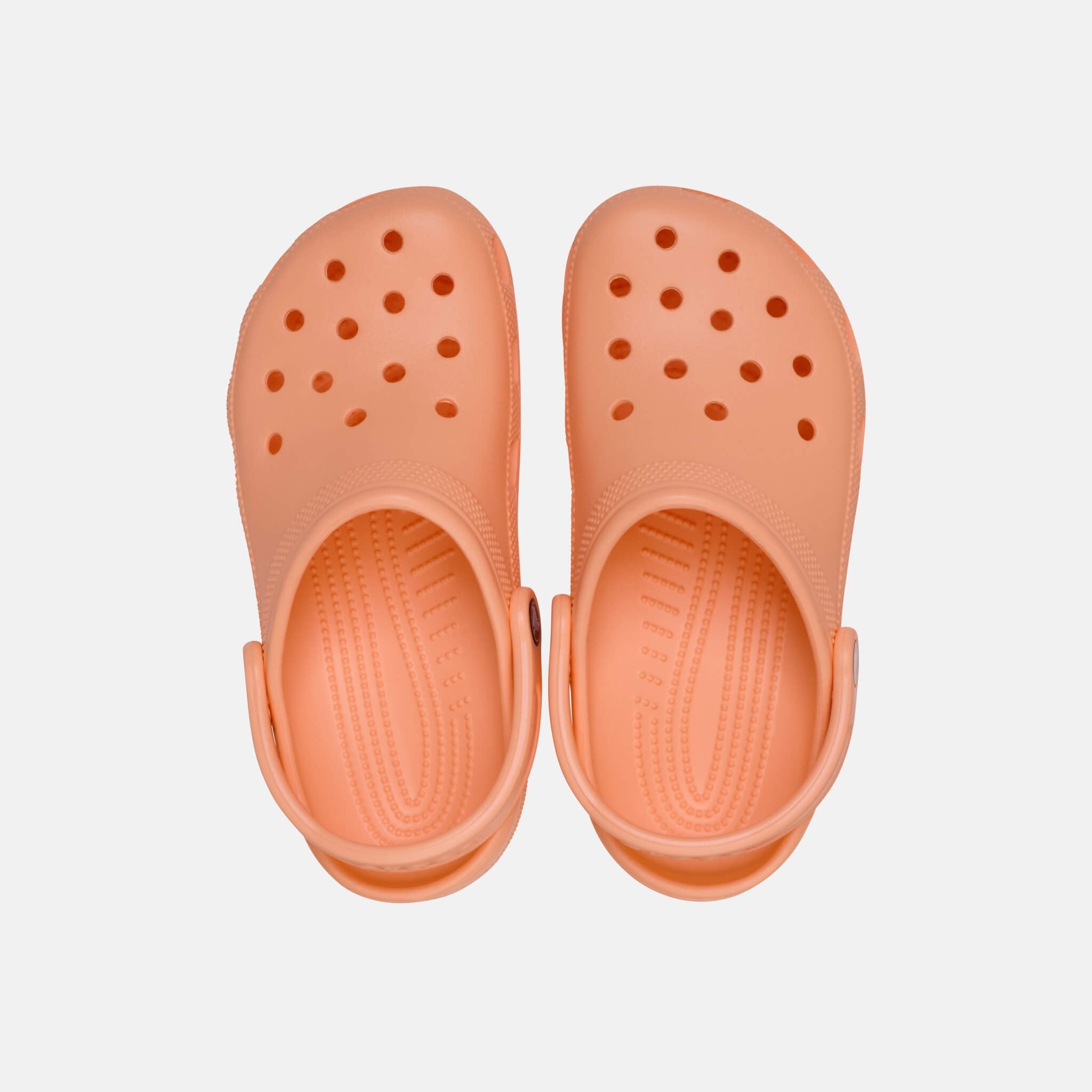 Crocs Classic Electric Sunstone