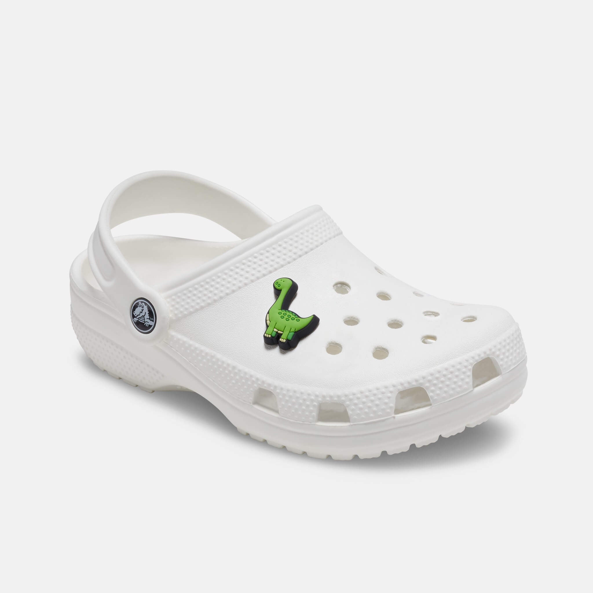 Jibbitz Charms Boys Rule Green Dino
