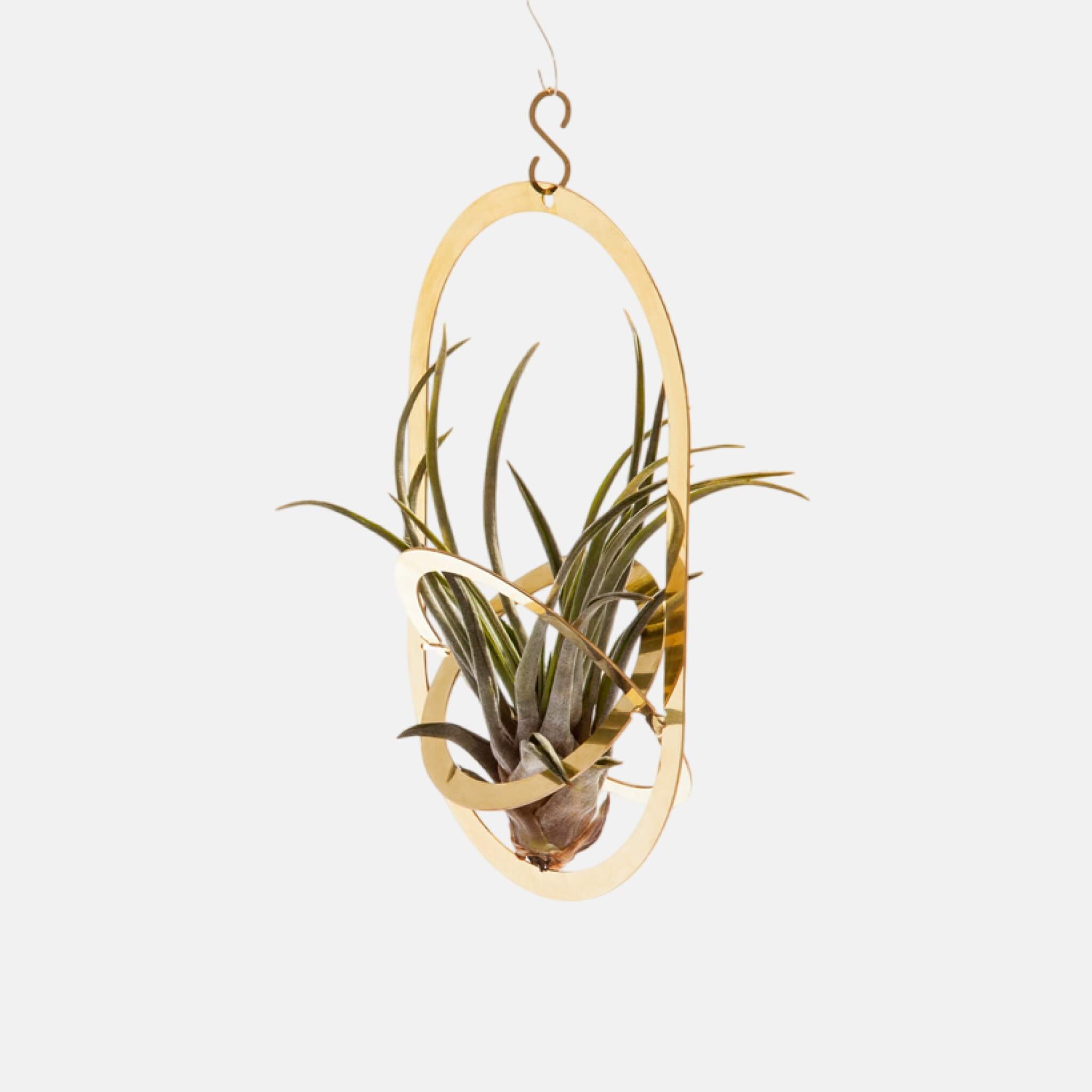 Fundamental Berlin Air Pendant Brass