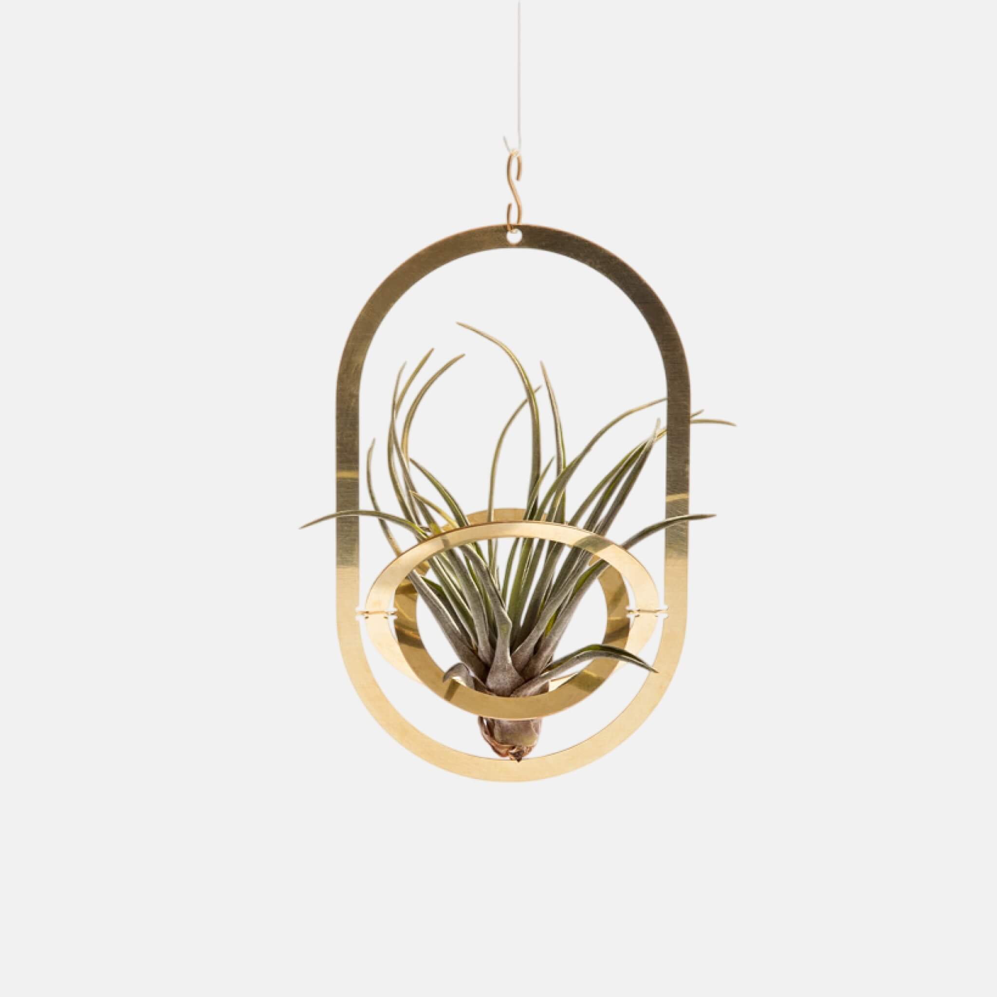 Fundamental Berlin Air Pendant Brass