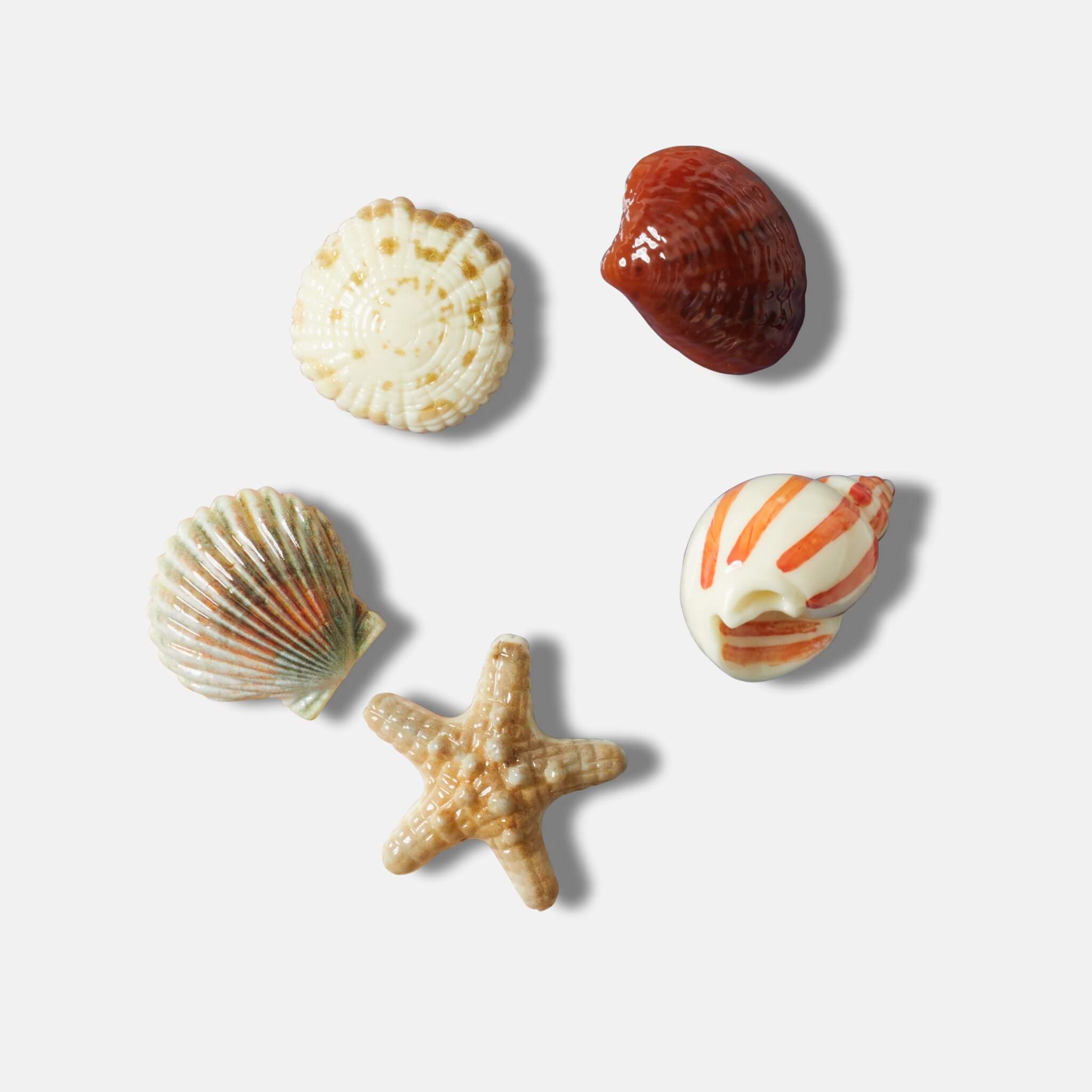 Jibbitz Charms She Sells Seashells 5-Pack